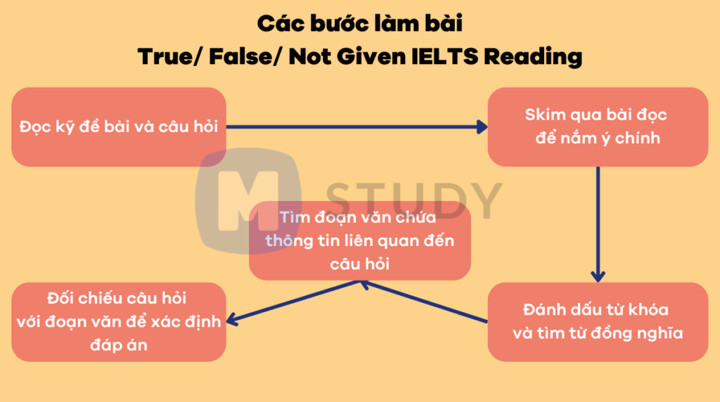 Các bước làm bài True/ False/ Not Given IELTS Reading