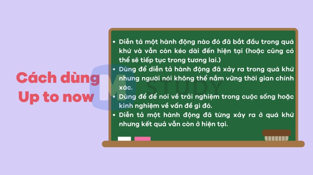 Cách dùng cụm từ up to now trong câu