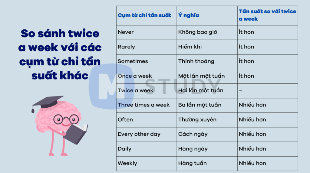 So sánh twice a week với 1 số cụm từ chỉ tần suất khác