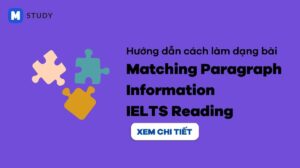 Matching Paragraph Information IELTS Reading