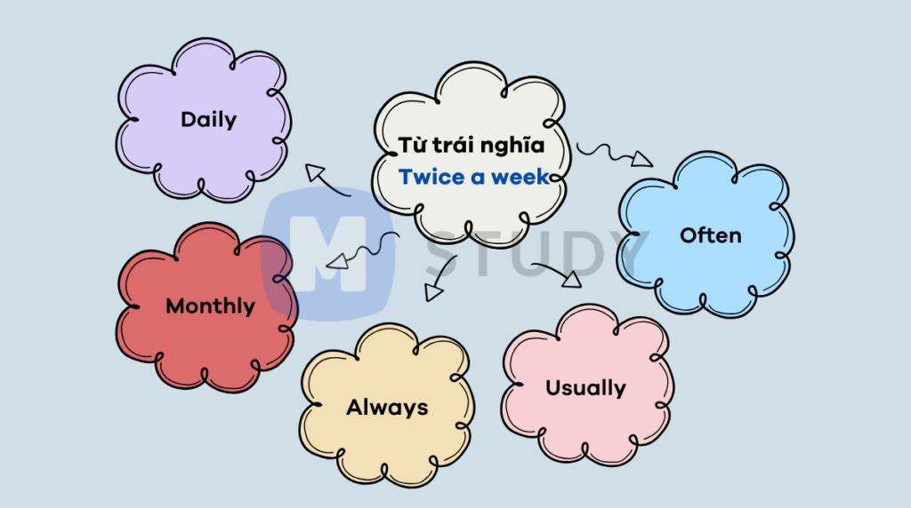 Từ trái nghĩa với twice a week