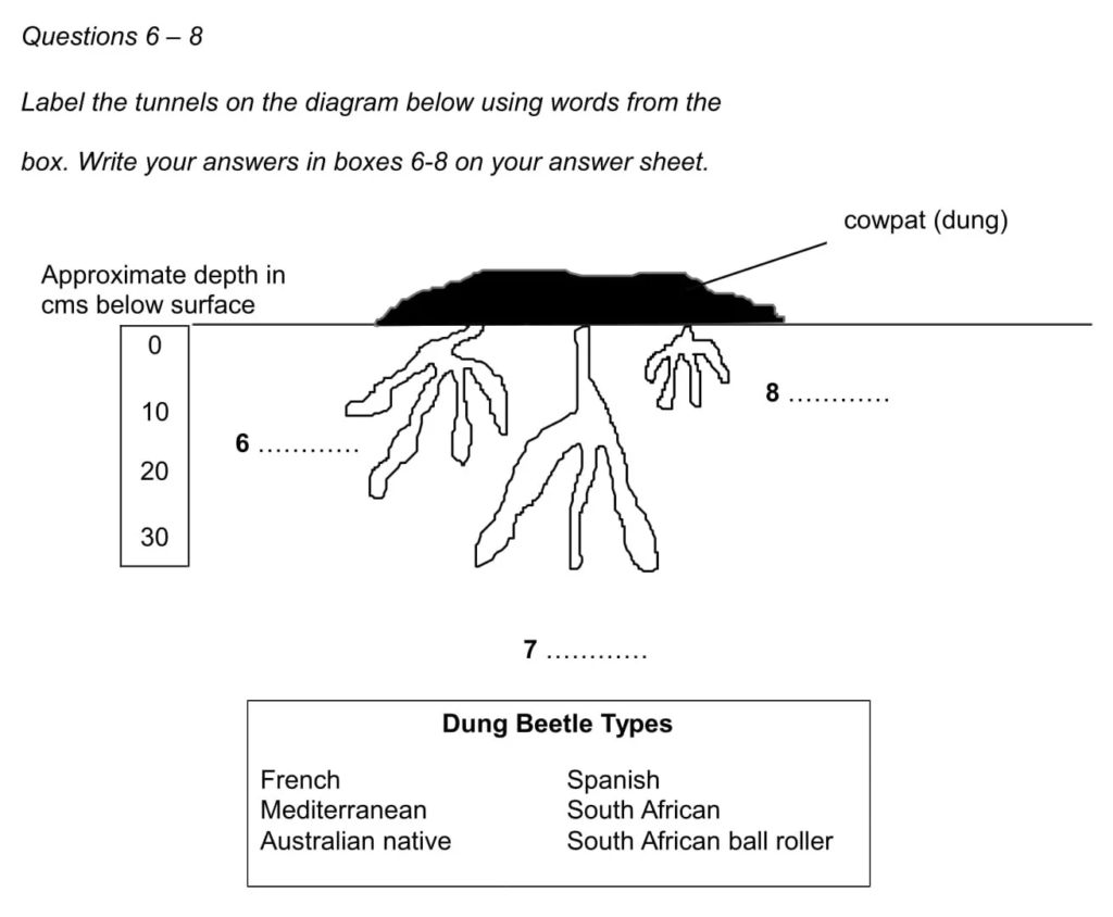 Ví dụ của dạng bài Diagram Completion IELTS Reading