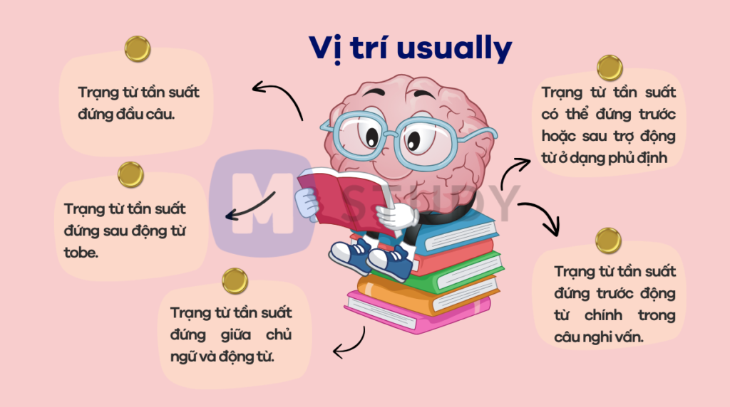 Vị trí usually trong câu cùng các trạng từ tần suất